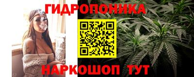 гидропоника Пугачёв