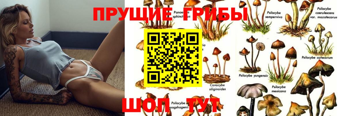 Дюртюли  Псилоцибиновые грибы ЛСД  Вход с VPN  дарнет шоп  Галлюциногенные грибы Cubensis 